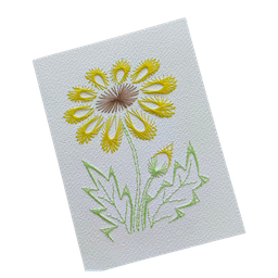 Workshop Fadengrafik – Bild 3